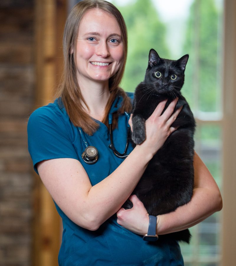 Professional photo with dill